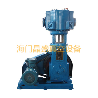 無(wú)油立式真空泵