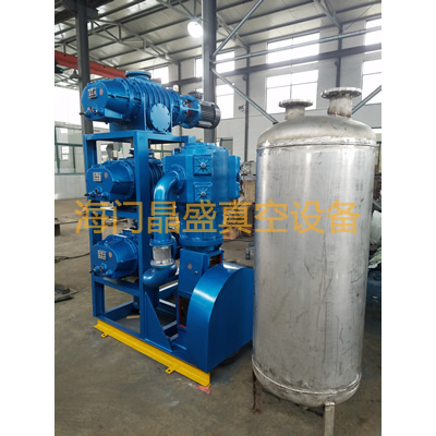 JZJWLW無(wú)油羅茨真空機(jī)組