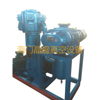 無(wú)油立式真空泵